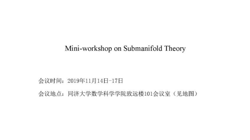 Mini-Workshop on Submanifold Theory